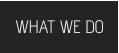 WHAT WE DO